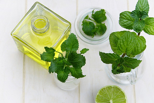 essential oil natural pest protection